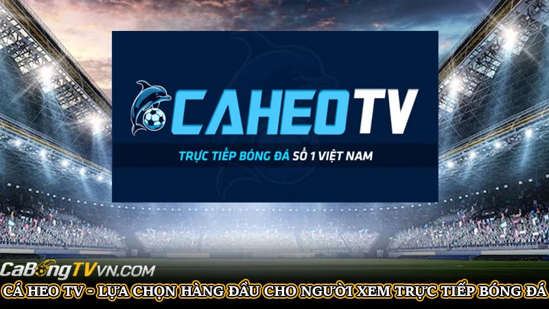 Cá Heo TV - Lựa chọn hàng đầu cho người xem trực tiếp bóng đá